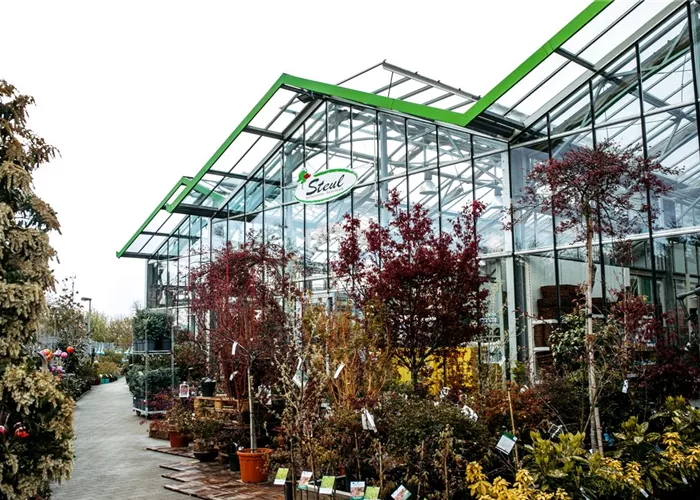 Rheinfelden Rheinfelden